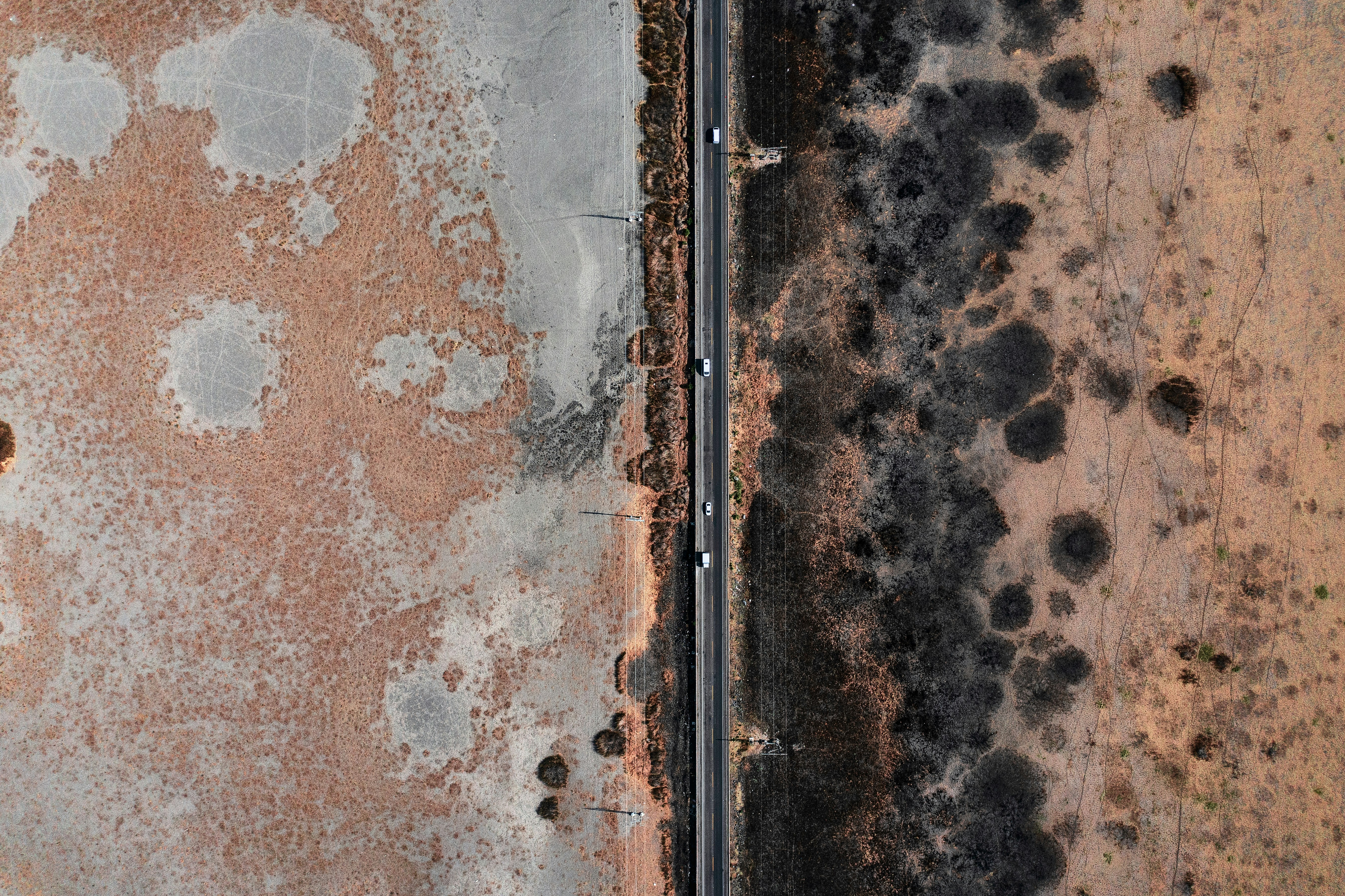Mold Inspection