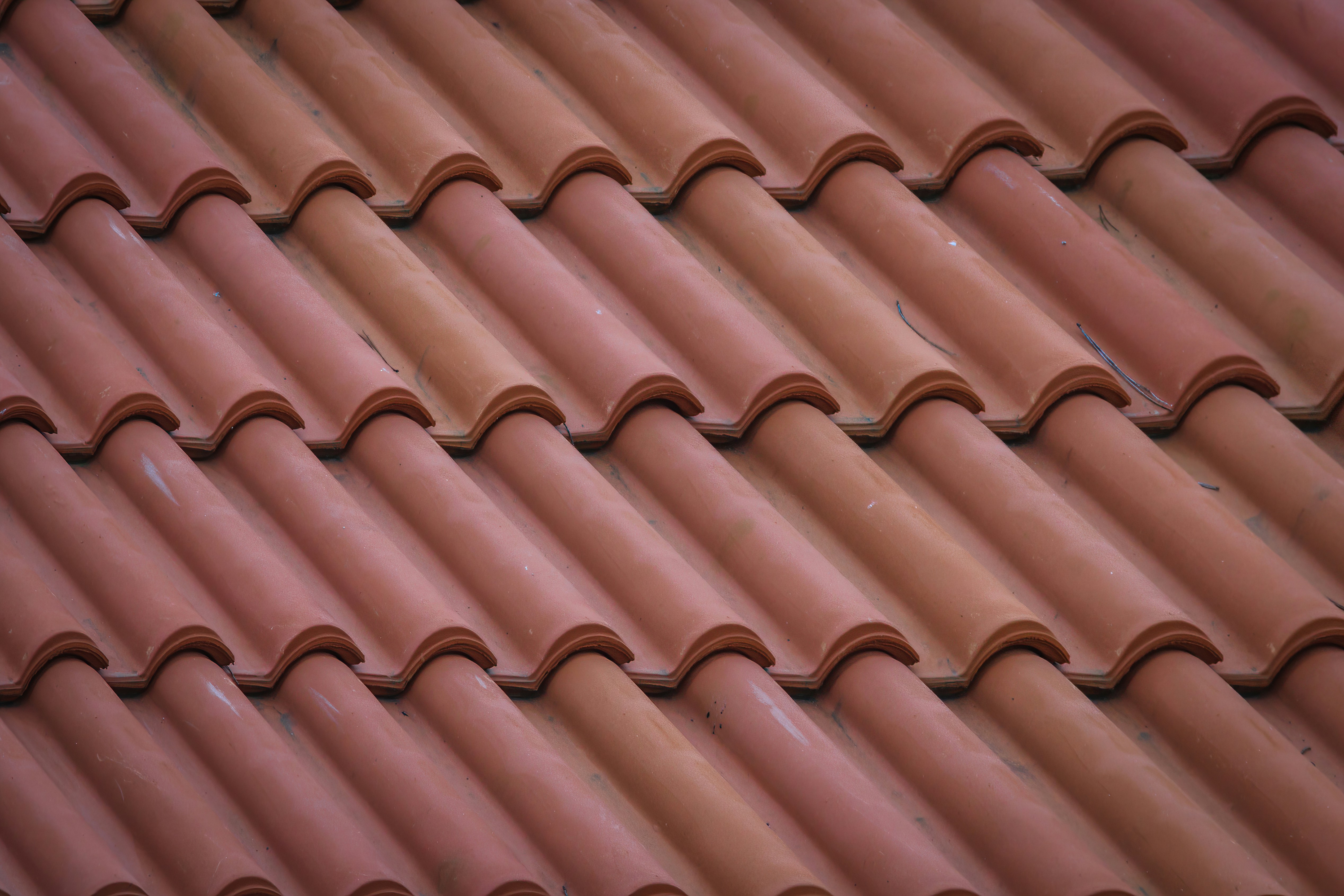Roof Inspection